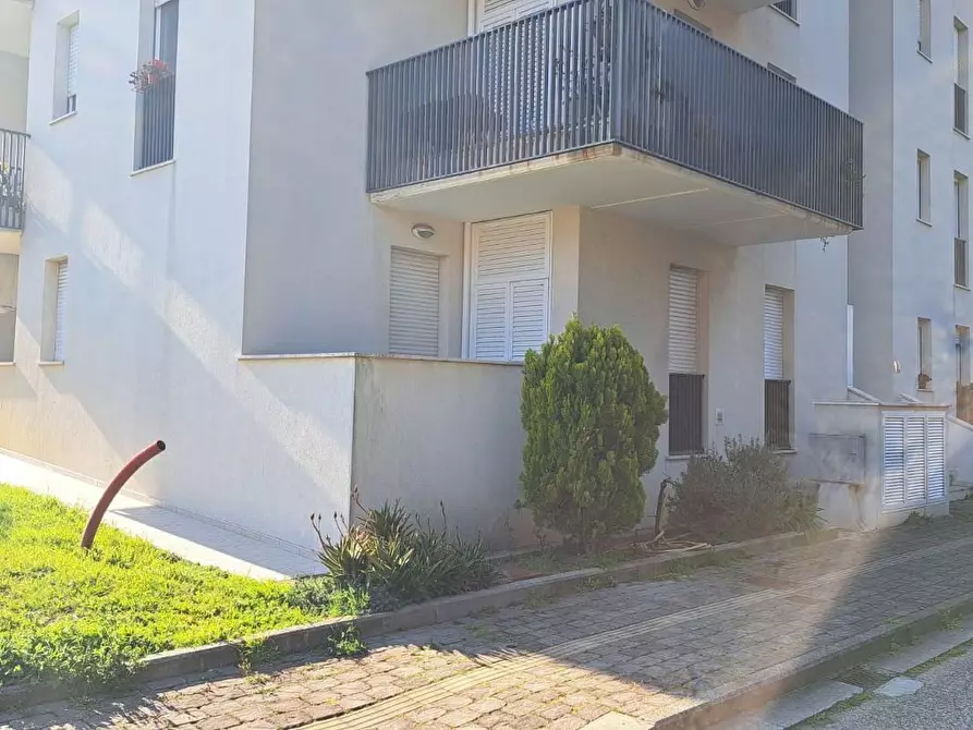 Immagine 20 di Appartamento in vendita  a Rosignano Marittimo