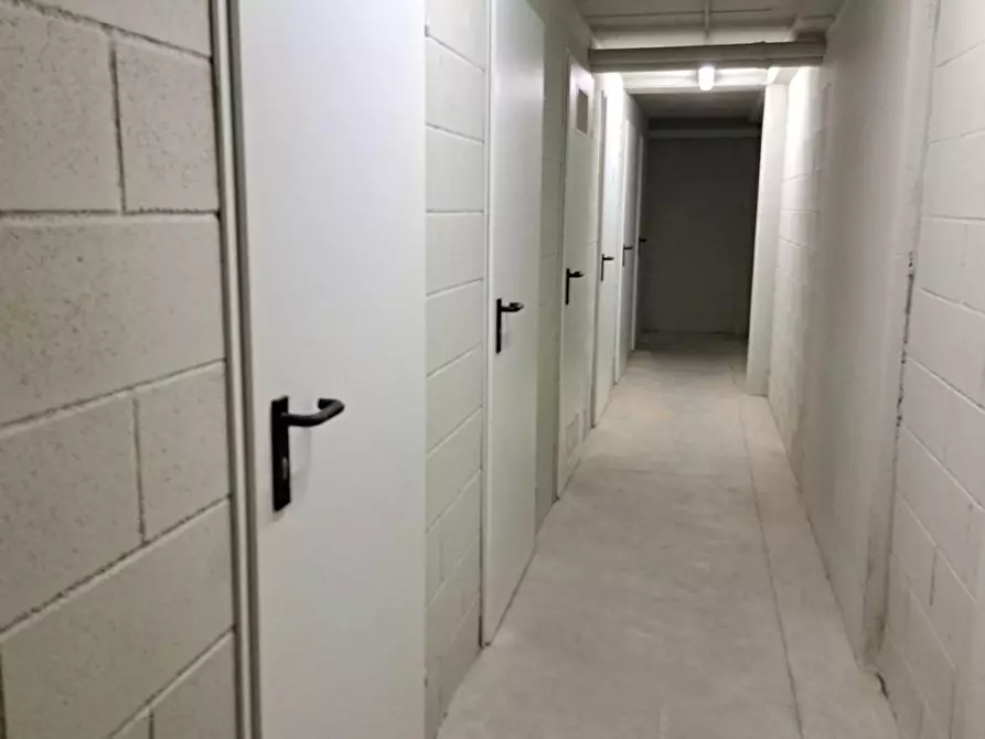 Immagine 18 di Appartamento in vendita  a Rosignano Marittimo