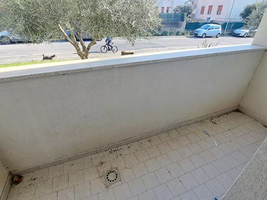 Immagine 14 di Appartamento in vendita  a Rosignano Marittimo