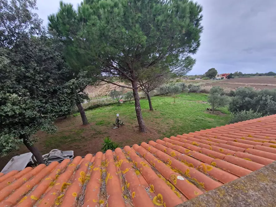 Immagine 25 di Casa colonica in vendita  a Cecina