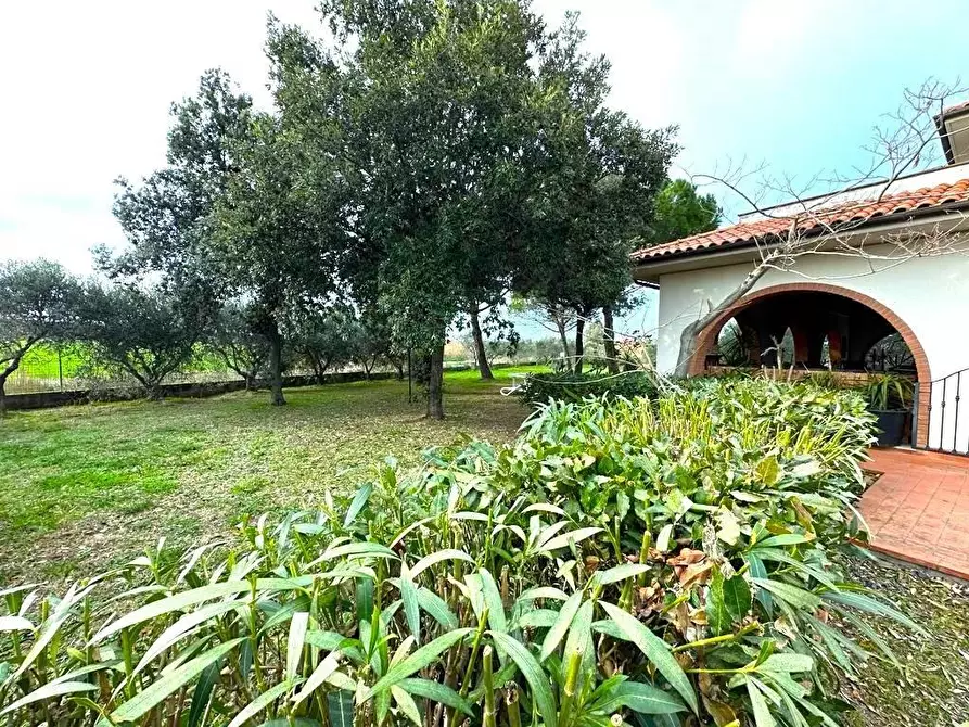 Immagine 26 di Casa colonica in vendita  a Cecina