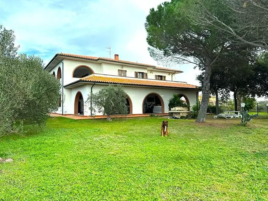 Immagine 1 di Casa colonica in vendita  a Cecina