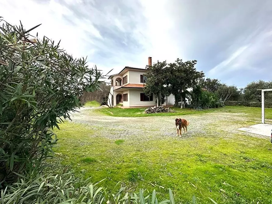 Immagine 3 di Casa colonica in vendita  a Cecina