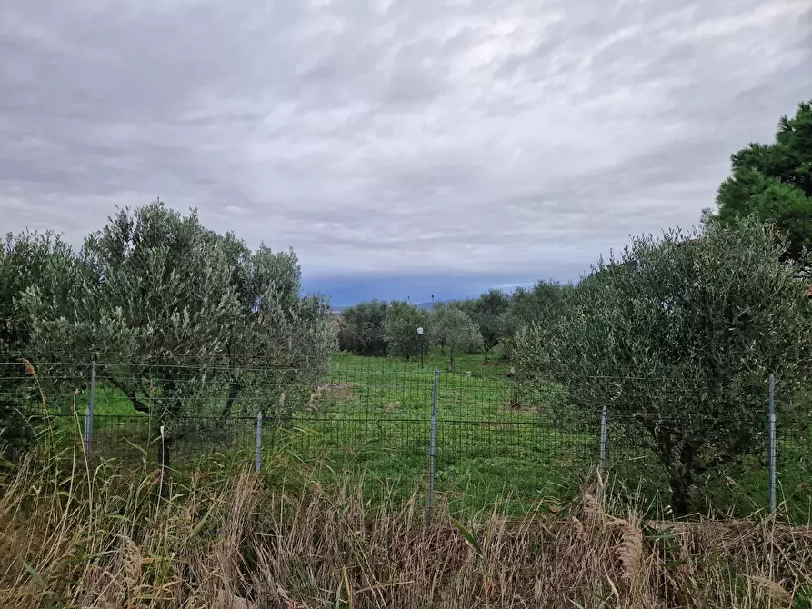 Immagine 8 di Casa colonica in vendita  a Cecina
