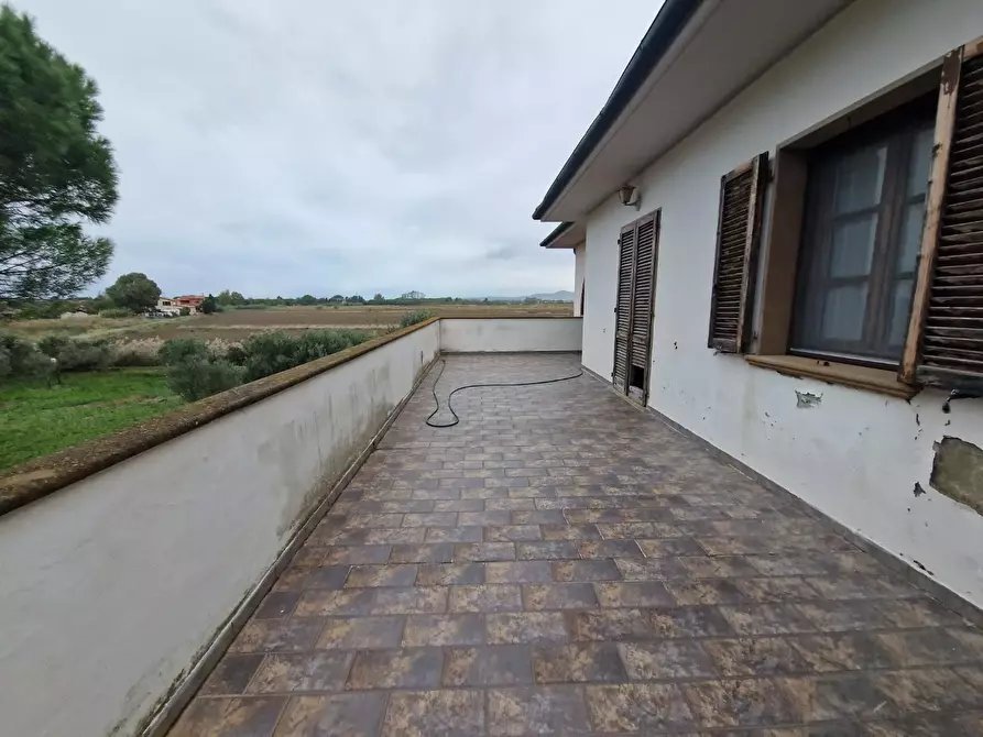 Immagine 24 di Casa colonica in vendita  a Cecina