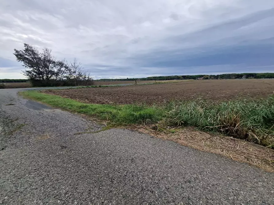 Immagine 9 di Casa colonica in vendita  a Cecina