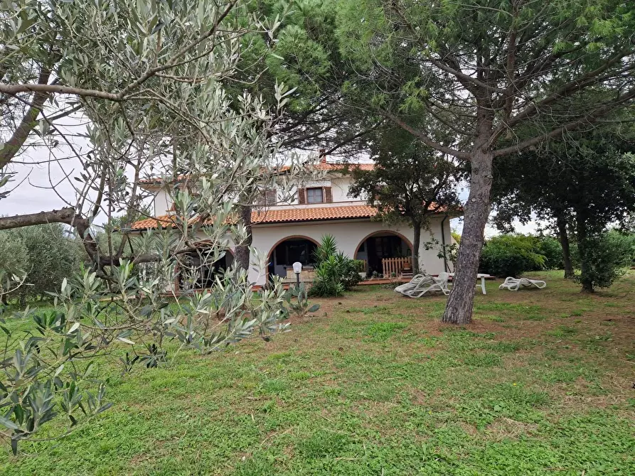 Immagine 2 di Casa colonica in vendita  a Cecina