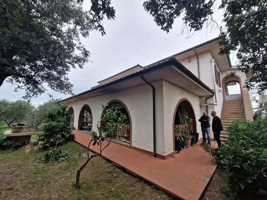 Immagine 12 di Casa colonica in vendita  a Cecina