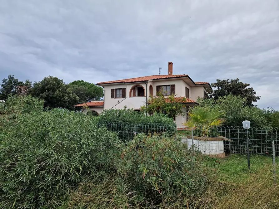 Immagine 6 di Casa colonica in vendita  a Cecina