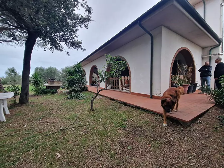 Immagine 5 di Casa colonica in vendita  a Cecina