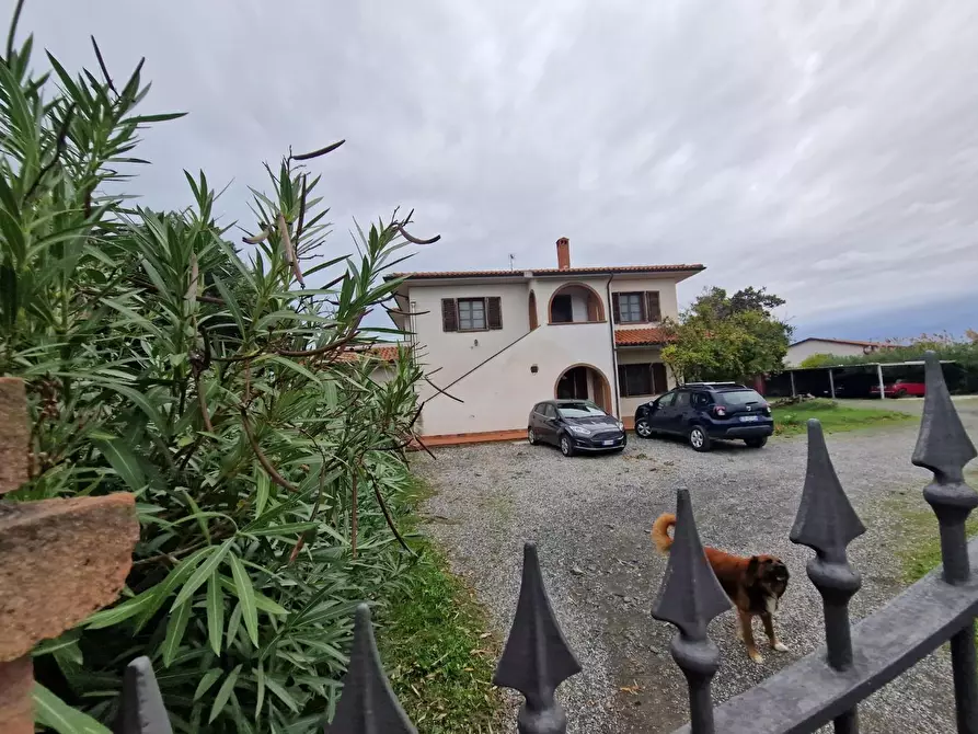 Immagine 4 di Casa colonica in vendita  a Cecina