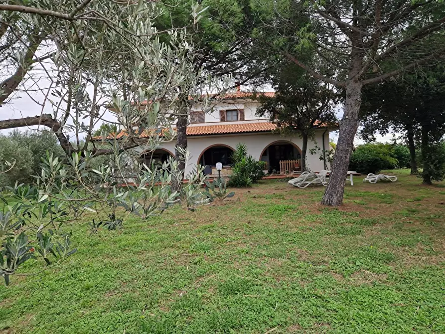 Immagine 7 di Casa colonica in vendita  a Cecina