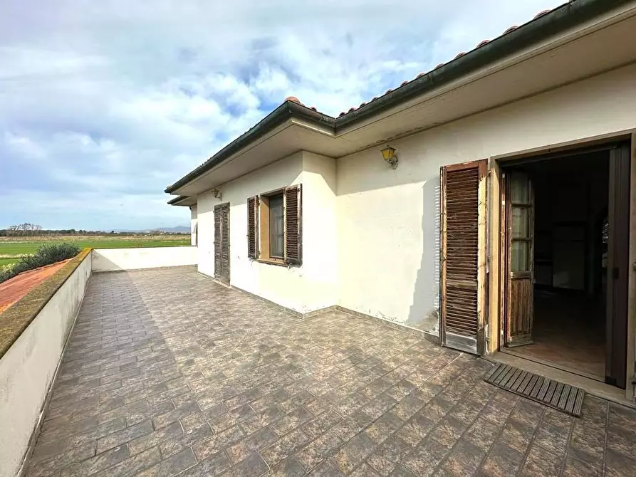 Immagine 13 di Casa colonica in vendita  a Cecina