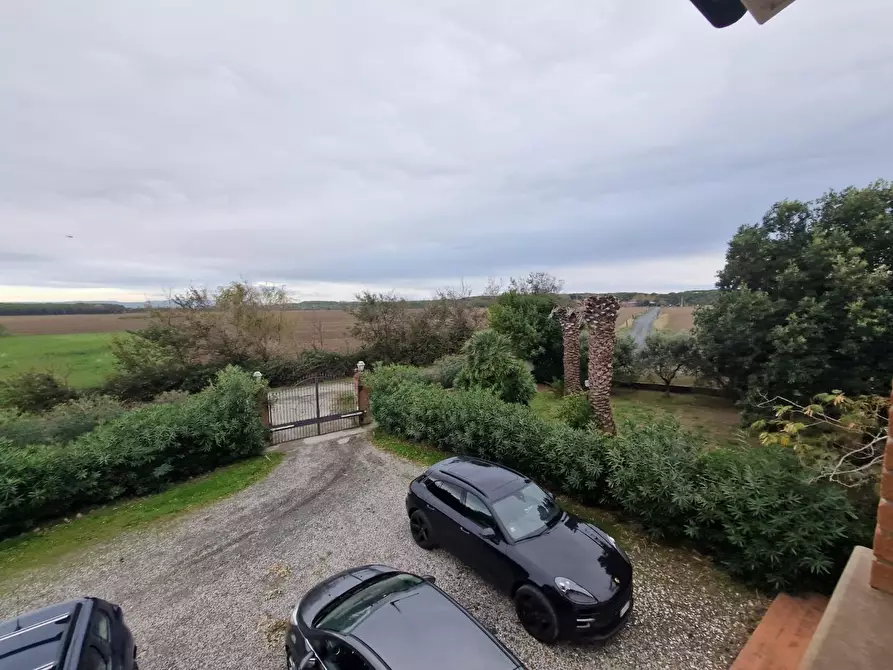 Immagine 14 di Casa colonica in vendita  a Cecina
