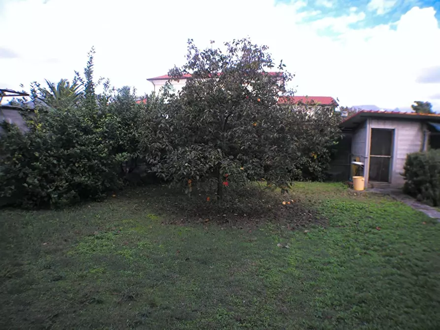 Immagine 11 di Casa indipendente in vendita  a Carrara