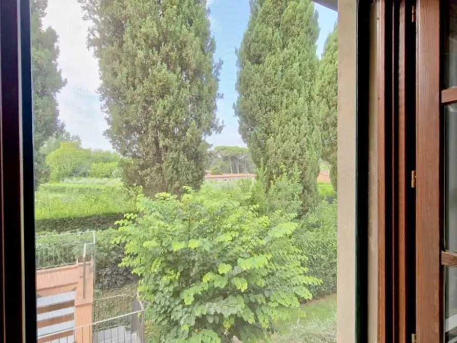 Immagine 9 di Terratetto in vendita  a Pisa