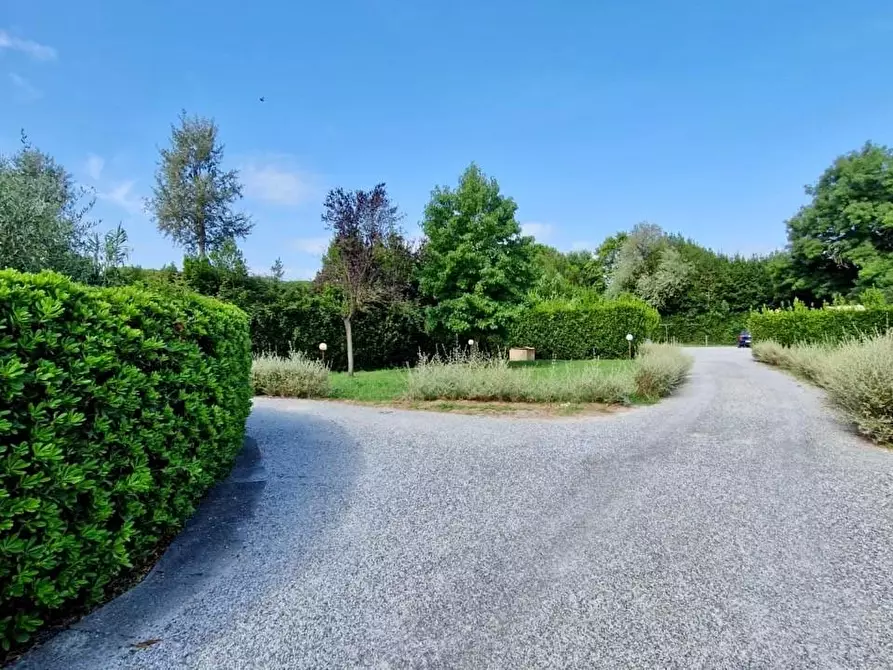 Immagine 21 di Terratetto in vendita  a Pisa