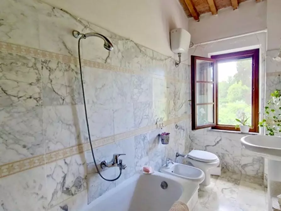 Immagine 10 di Terratetto in vendita  a Pisa