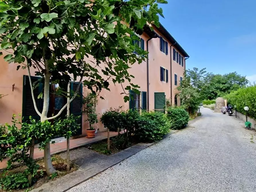 Immagine 18 di Terratetto in vendita  a Pisa