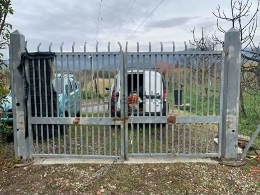 Immagine 5 di Terreno agricolo in vendita  a Castelnuovo Magra