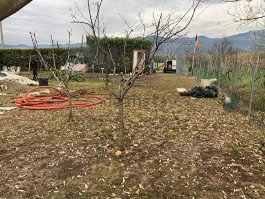 Immagine 2 di Terreno agricolo in vendita  a Castelnuovo Magra