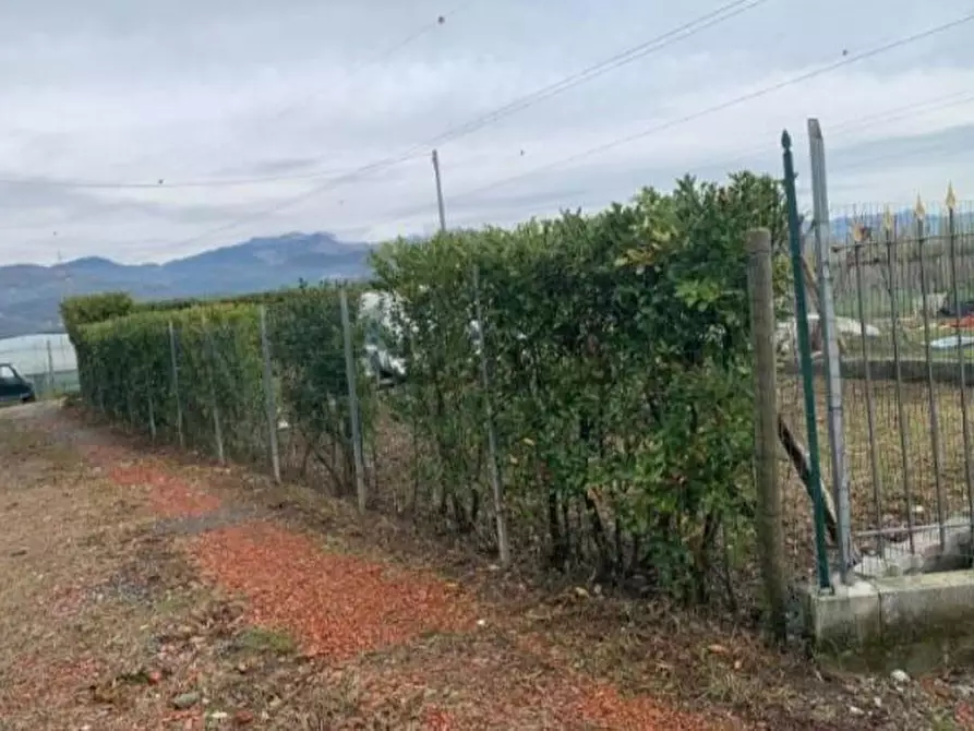 Immagine 8 di Terreno agricolo in vendita  a Castelnuovo Magra