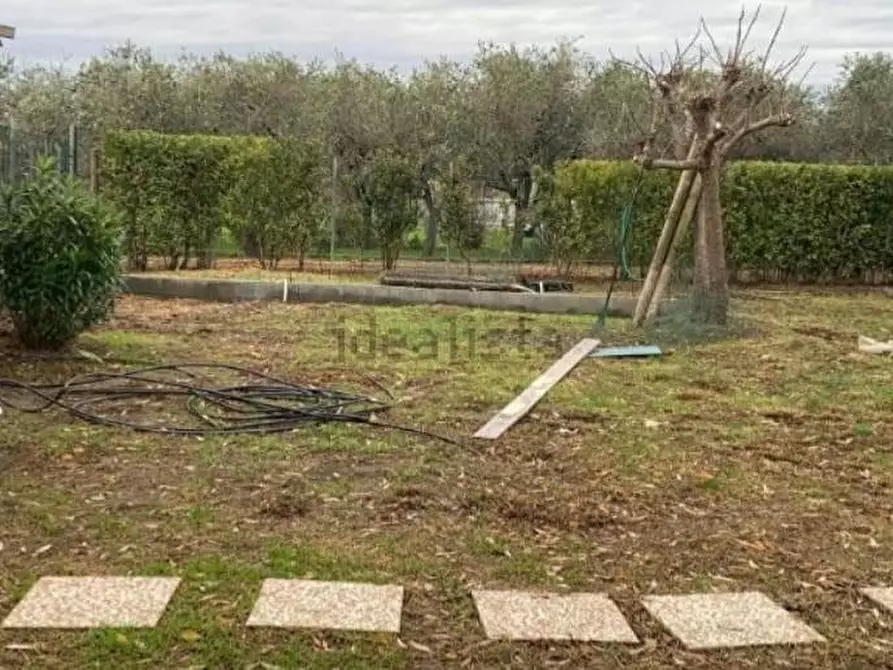 Immagine 7 di Terreno agricolo in vendita  a Castelnuovo Magra