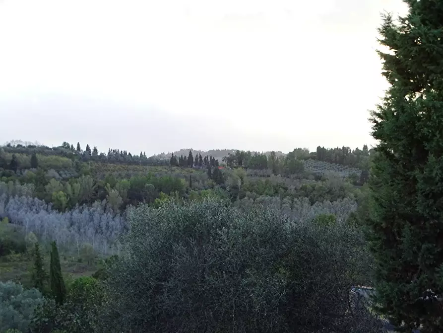 Immagine 4 di Terratetto in vendita  a San Miniato