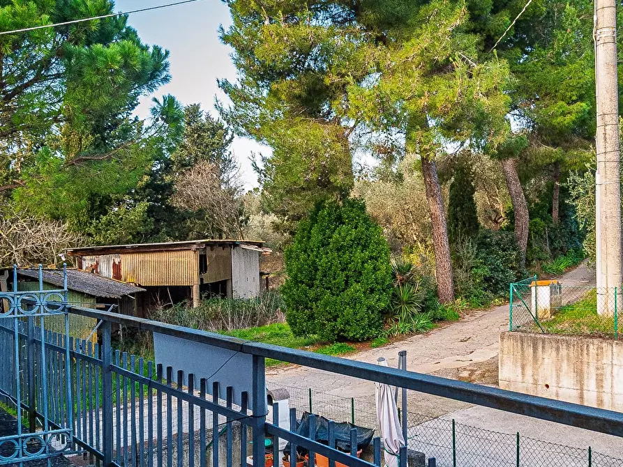 Immagine 2 di Terratetto in vendita  a San Miniato