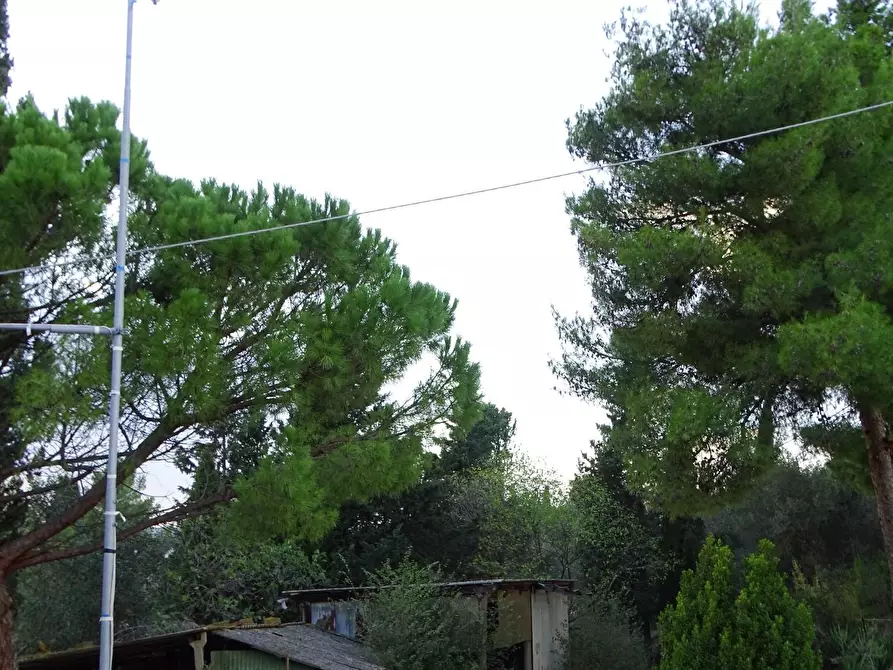 Immagine 30 di Terratetto in vendita  a San Miniato