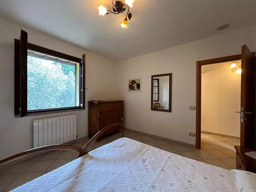 Immagine 27 di Terratetto in vendita  a Empoli