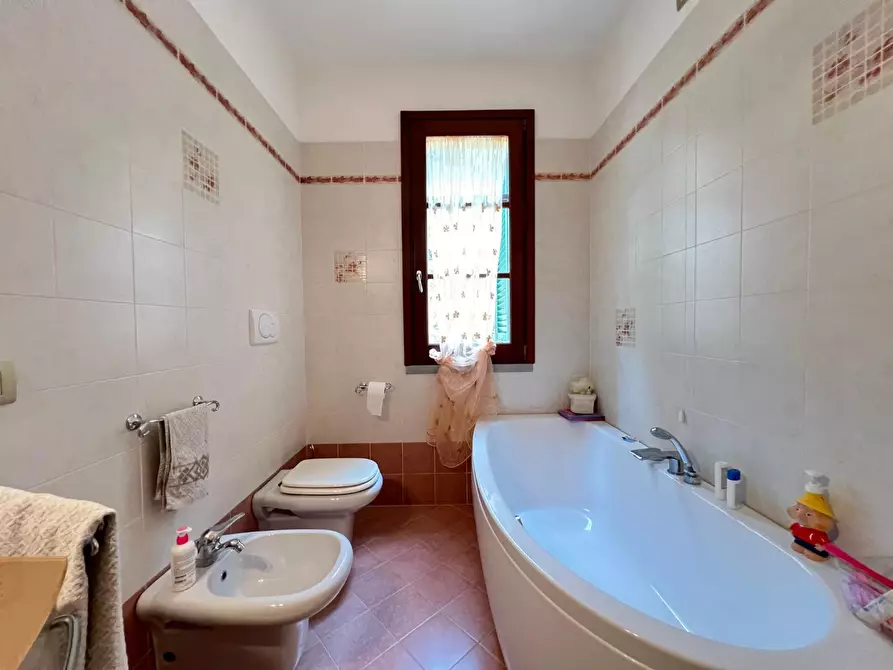 Immagine 15 di Terratetto in vendita  a Empoli