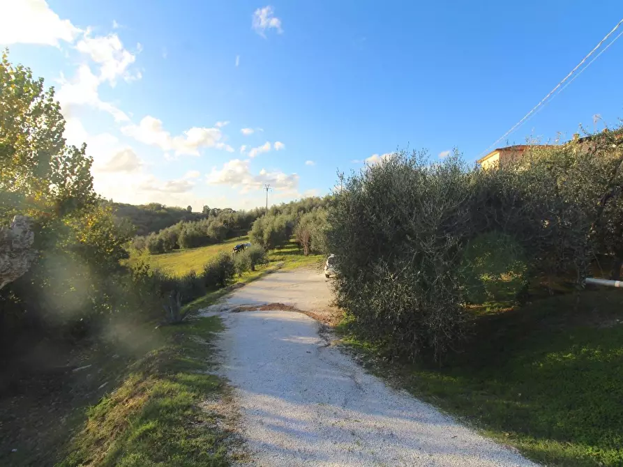 Immagine 34 di Casa indipendente in vendita  a Casciana Terme Lari