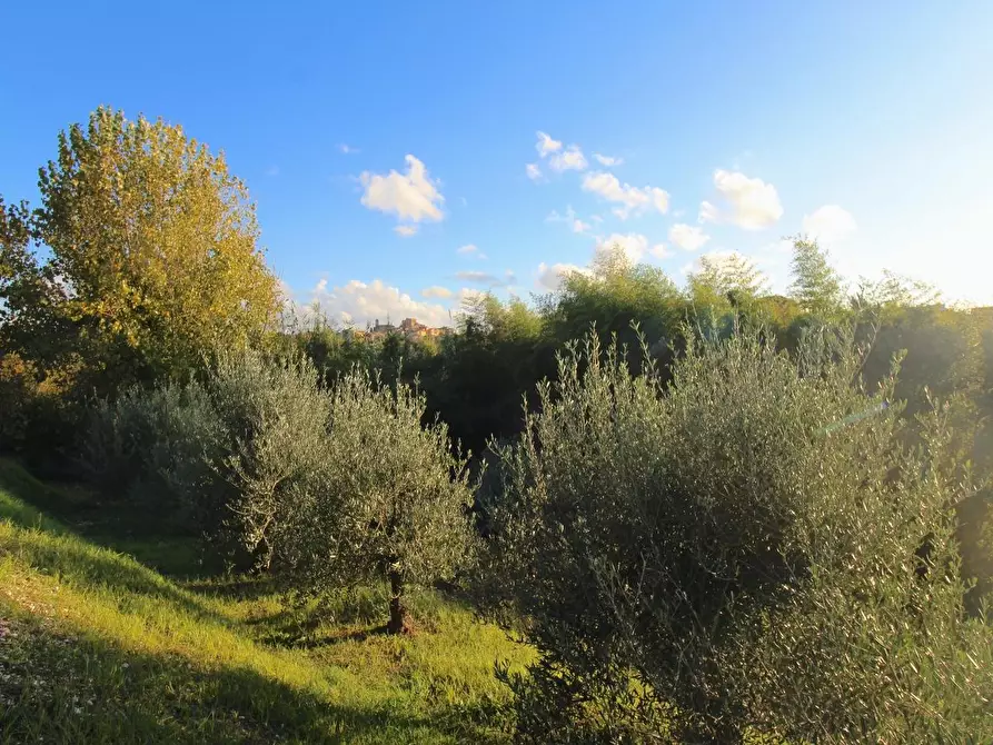 Immagine 33 di Casa indipendente in vendita  a Casciana Terme Lari