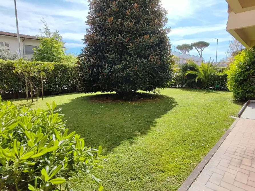 Immagine 28 di Mansarda in vendita  a Viareggio