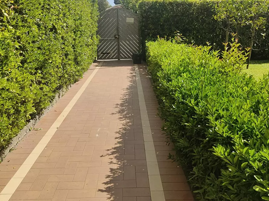 Immagine 29 di Mansarda in vendita  a Viareggio