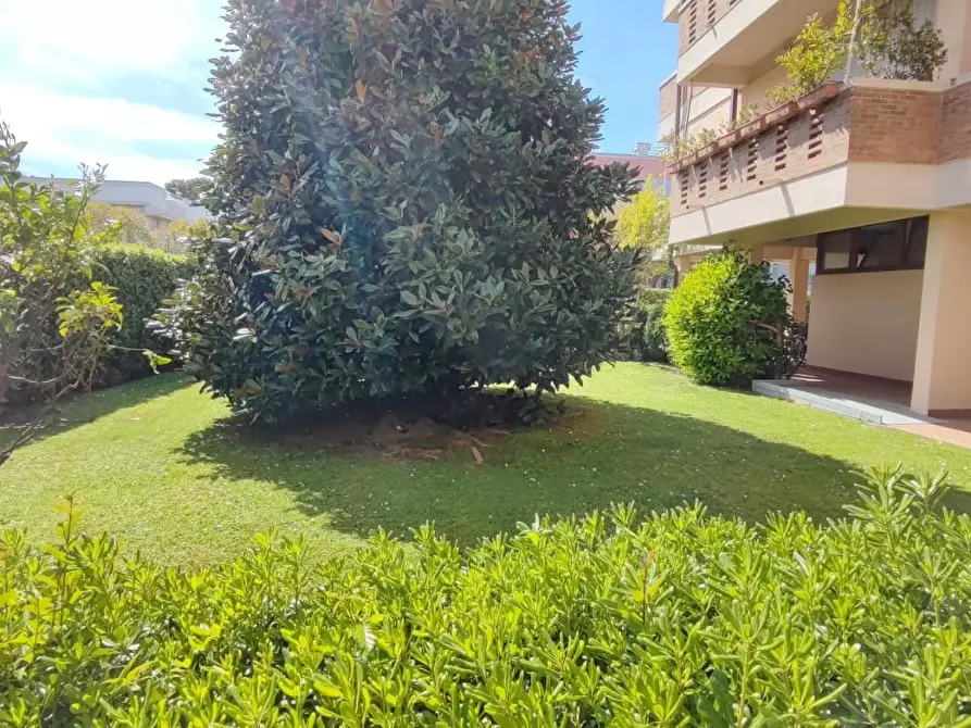 Immagine 27 di Mansarda in vendita  a Viareggio