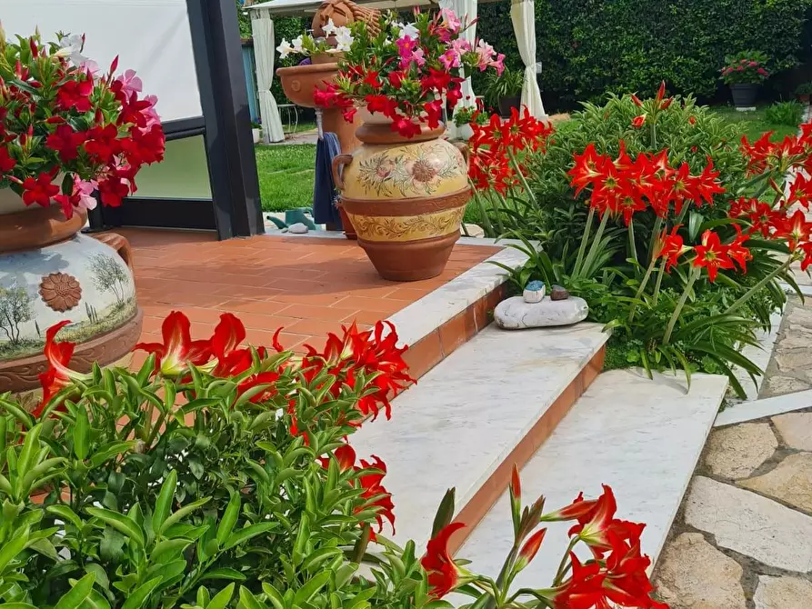 Immagine 3 di Villetta a schiera in vendita  a Carrara