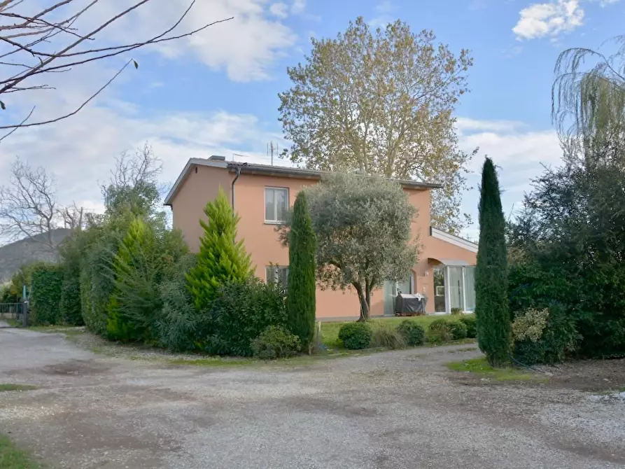 Immagine 15 di Villa in vendita  a San Giuliano Terme