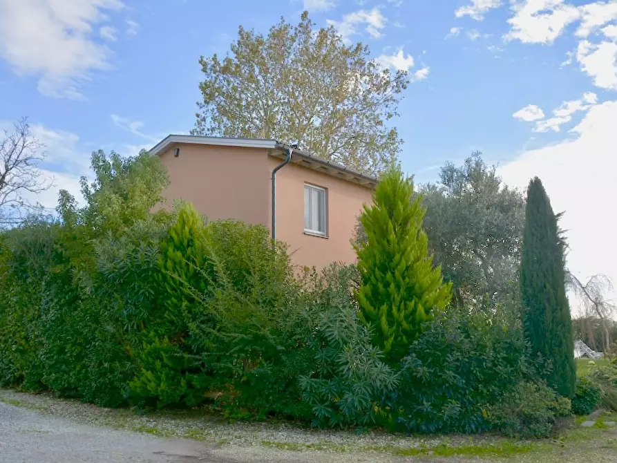 Immagine 11 di Villa in vendita  a San Giuliano Terme