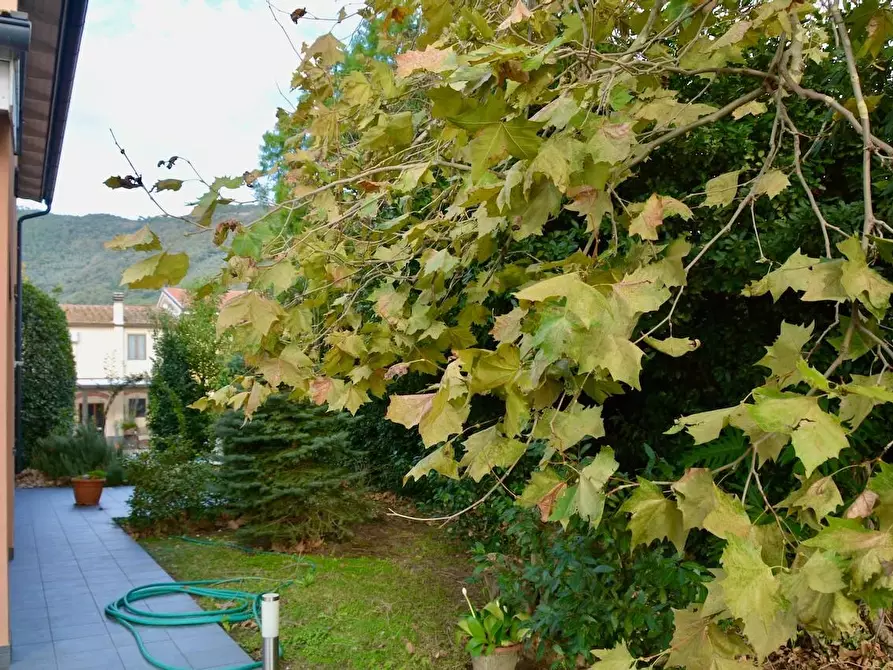 Immagine 6 di Villa in vendita  a San Giuliano Terme