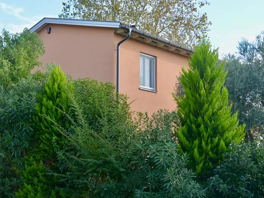 Immagine 12 di Villa in vendita  a San Giuliano Terme