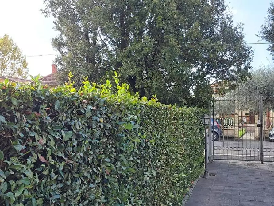 Immagine 6 di Appartamento in vendita  a San Giuliano Terme