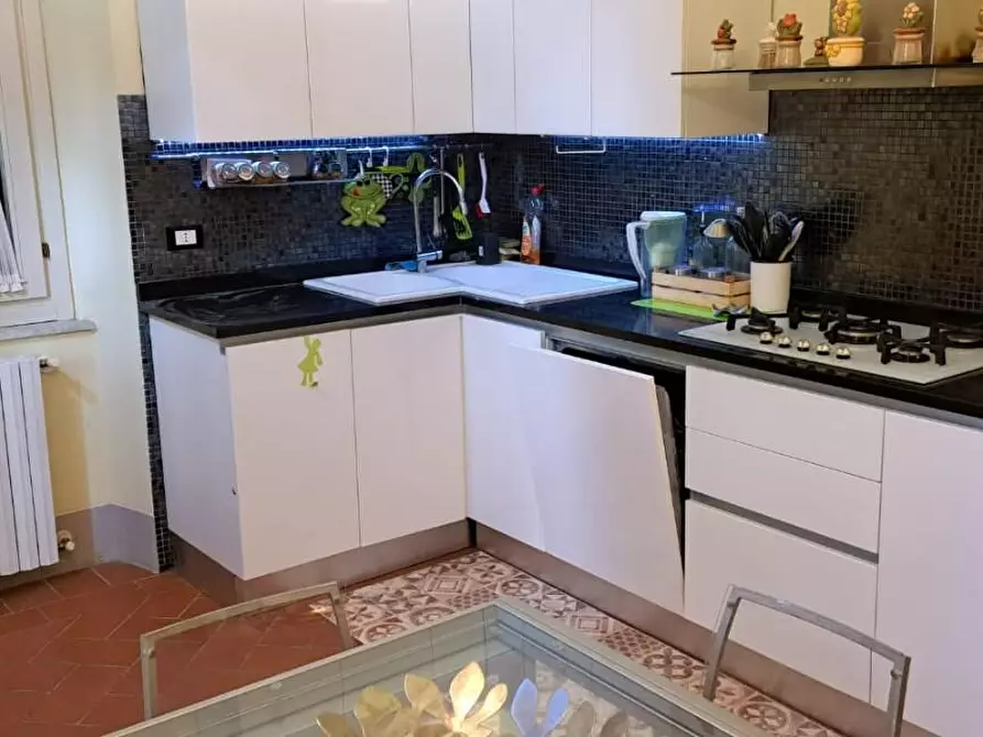 Immagine 88 di Appartamento in vendita  a San Giuliano Terme