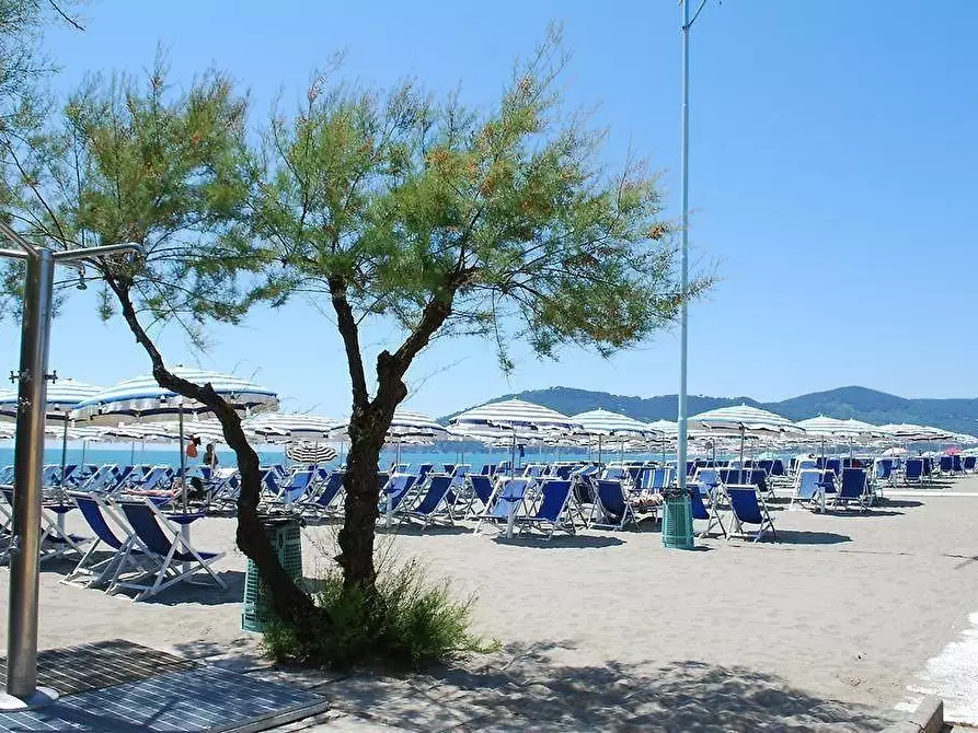 Immagine 2 di Appartamento in vendita  a Ortonovo