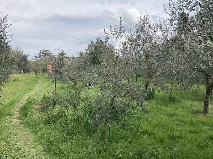 Immagine 3 di Casa semindipendente in vendita  a Colle Di Val D'elsa