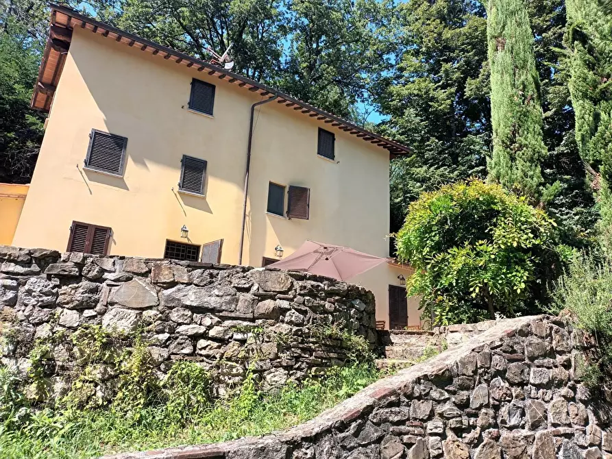 Immagine 5 di Rustico / casale in vendita  a Camaiore