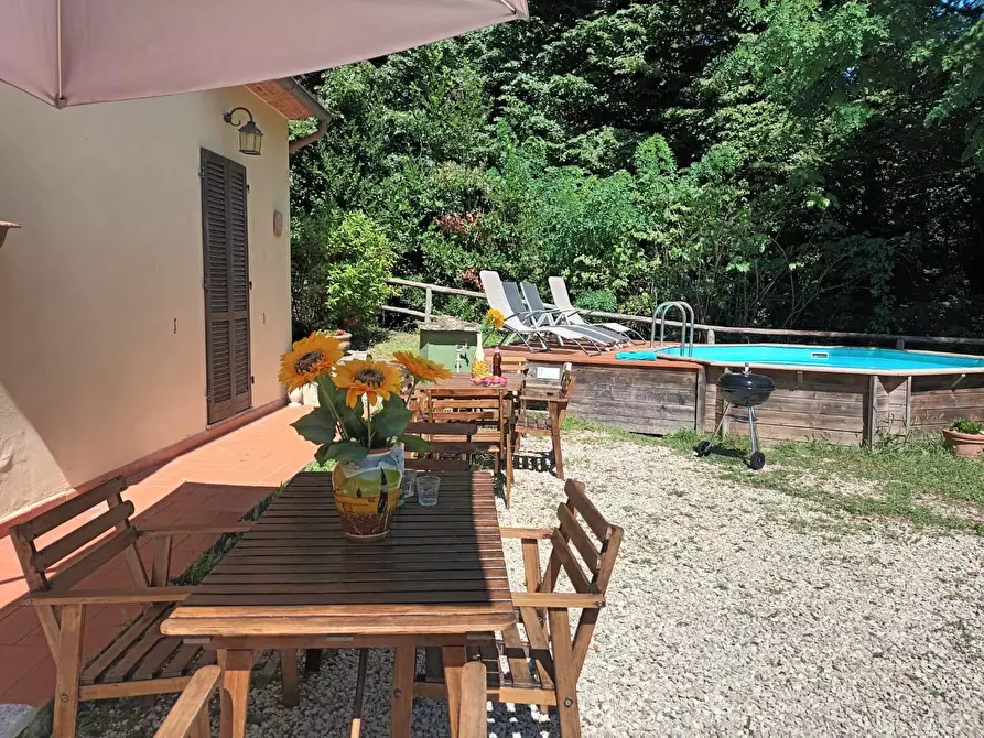 Immagine 12 di Rustico / casale in vendita  a Camaiore