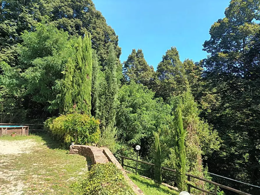 Immagine 4 di Rustico / casale in vendita  a Camaiore