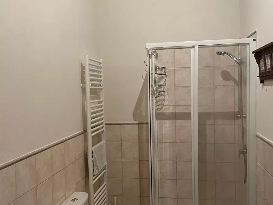 Immagine 17 di Rustico / casale in vendita  a Camaiore